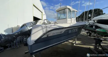 Ocqueteau Ostrea 600