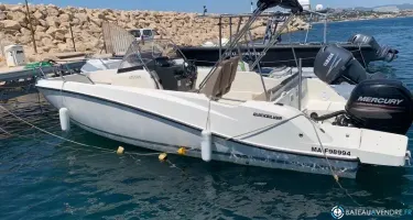 Quicksilver  675