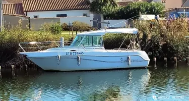Faeton  730 Moraga