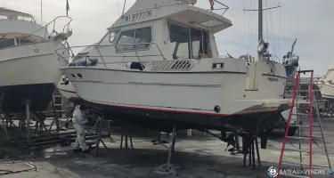 Gib Sea Jamaica 30 Fly