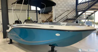 Bayliner Element M15