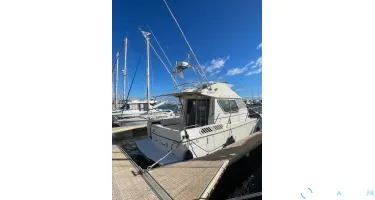 Gib Sea Jamaica 30