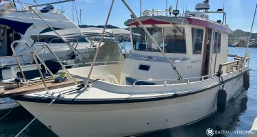 Tarfish  1040