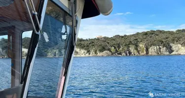 Tarfish  1040