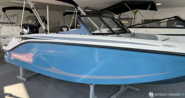 Bayliner Element M17