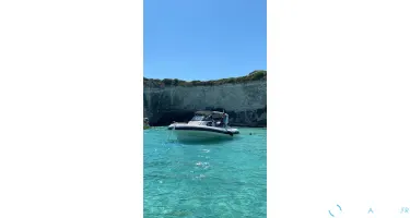 Salpa Soleil 33