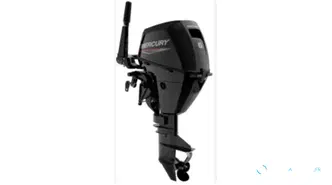 Moteur Mercury 6cv Bicylindre EFI