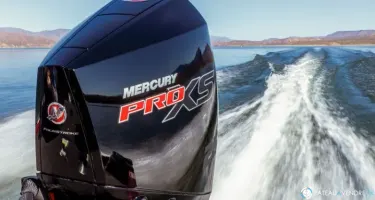 Mercury 175 cv PRO XS