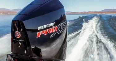 Moteur Mercury 175 cv PRO XS