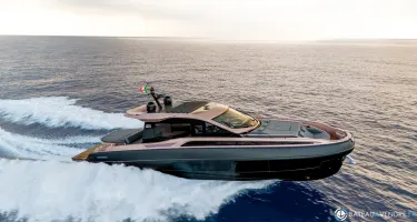 Sacs Rebel 50