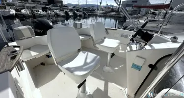 Quicksilver  635 Commander