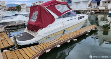 Rio  800 Cruiser