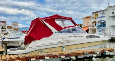 Rio  800 Cruiser