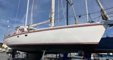Amel  54