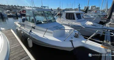 Sea Hawk  226