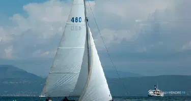 Chantier JP Moinard Requin