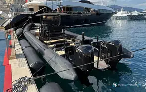 Rayglass PROTECTOR 410 CHASE