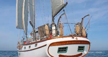 Blue Water Vagabond 47
