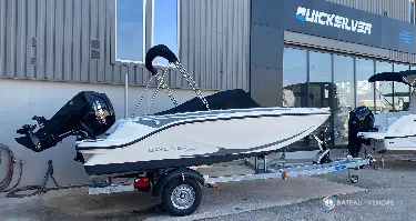 Bayliner Element M17