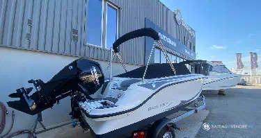 Bayliner Element M17