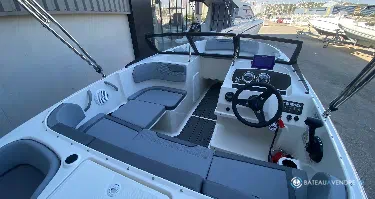 Bayliner Element M17