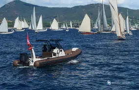 Brig Eagle 8