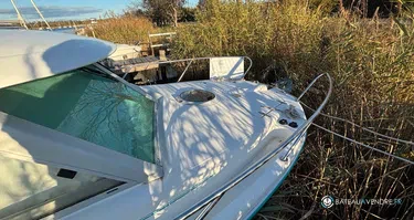 Ocqueteau  695 Timonier