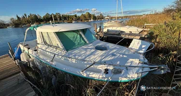 Ocqueteau  695 Timonier