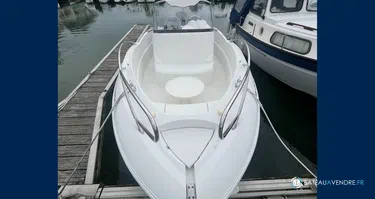 Quicksilver  555 Commander