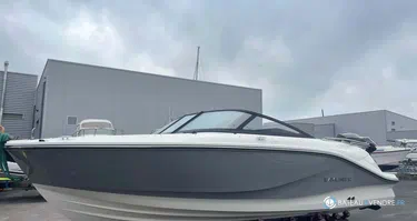 Bayliner V20