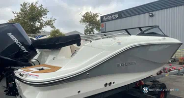 Bayliner V20