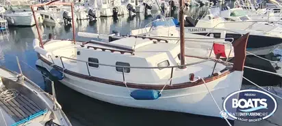 Menorquin  31