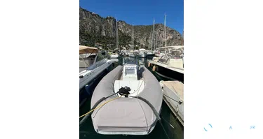 Sea Water Phantom 260