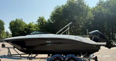Sea Ray  210 SPX OB