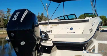 Sea Ray  210 SPX OB