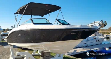 Sea Ray  210 SPX OB