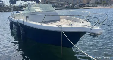 White Shark  268