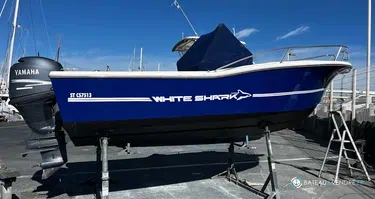 Kelt White Shark 205