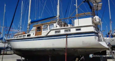 Seafinn Yacht Seafinn 411