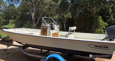 Boston Whaler  17 Montauk