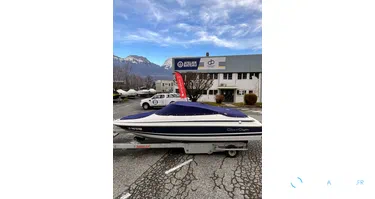 Chris Craft 190