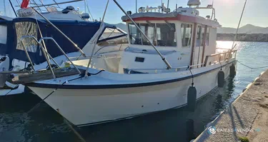 Botnia Marin Targa 31 tarfish