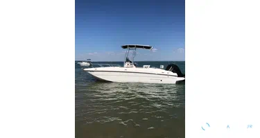 Bayliner Element CC7