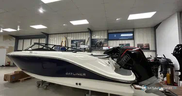 Bayliner V20