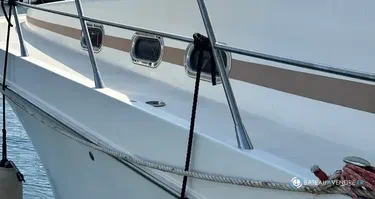 Guy Couach  1401 Fly