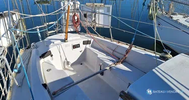 Jeanneau Brin de folie