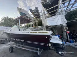 Kelt White Shark 237