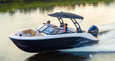 Bayliner V20