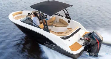Bayliner V20