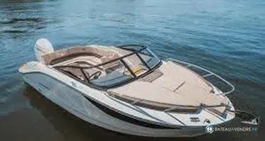 Bayliner C21